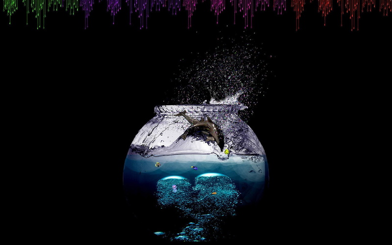 vase, digital art, round, bowl, 1080P, grey, blue, 1920x1200, dolphin