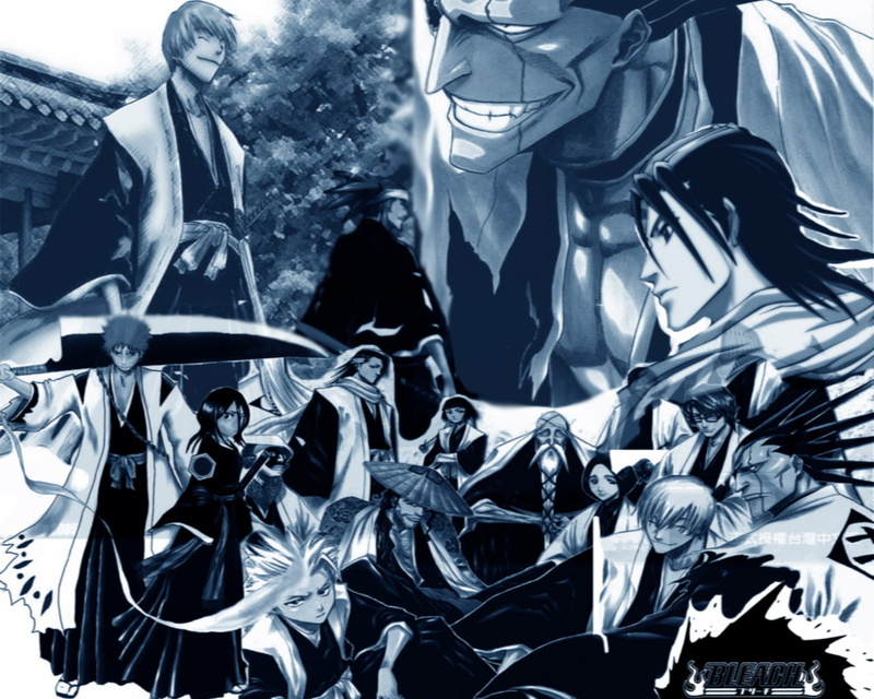 Byakuya Kuchiki, Renji Abarai, Kenpachi Zaraki, Ichigo Kurosaki, Rukia Kuchiki, Tōshirō Hitsugaya, Unohana Retsu, Jūshirō Ukitake, Bleach, Kaname Tosen