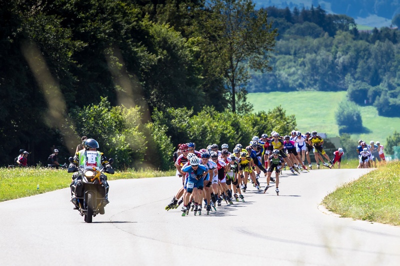 transportation, domestic animals, inline race, competition, group of people, animal wildlife, domestic, riding, crowd, mammal, activity, mode of transportation