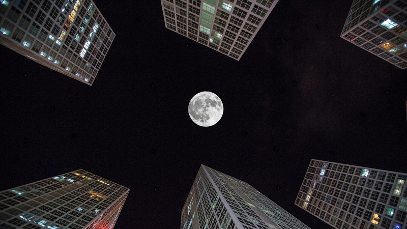 city, buildings, 4K, night sky, china, moon, full moon, night, guangdong, skyscraper, asia, shenzhen