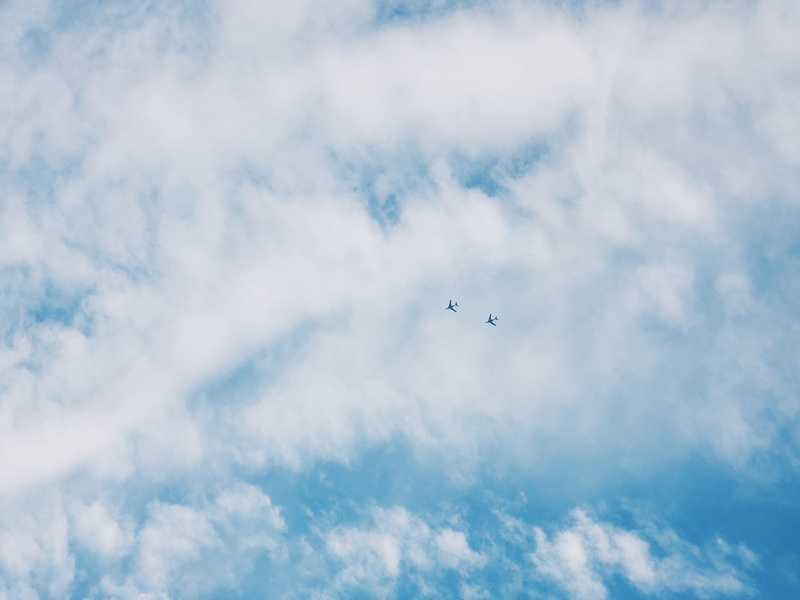 cloud - sky, mid-air, flying, no people, nature, bird, vertebrate, 4K, blue, china, low angle view, yong sheng lu, animals in the wild, airplane, outdoors