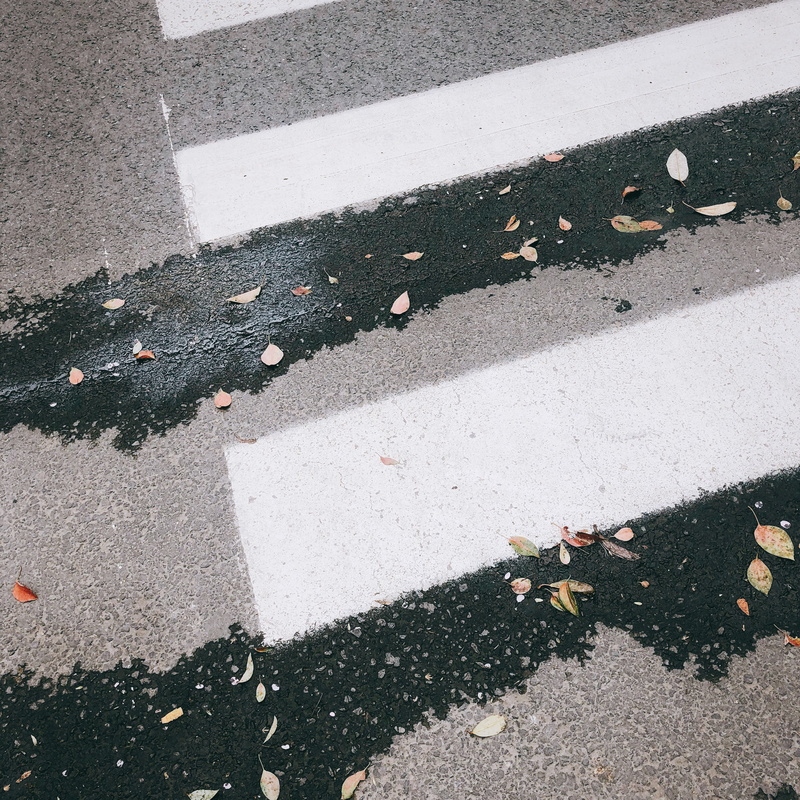 street, day, pedestrian, china, peel, nature, white color, asphalt, nan jing da xue bei yin yang ying 8 hao su she qu 8 zhuang, orange, henna, plant, sign
