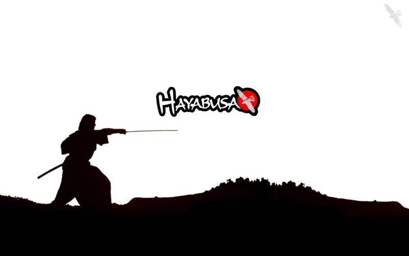 hd, logo, hayabusa, sports, mma, 720P