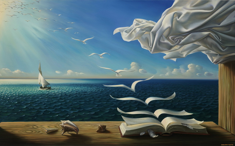 2K, sky sea books birds rob gonsalves