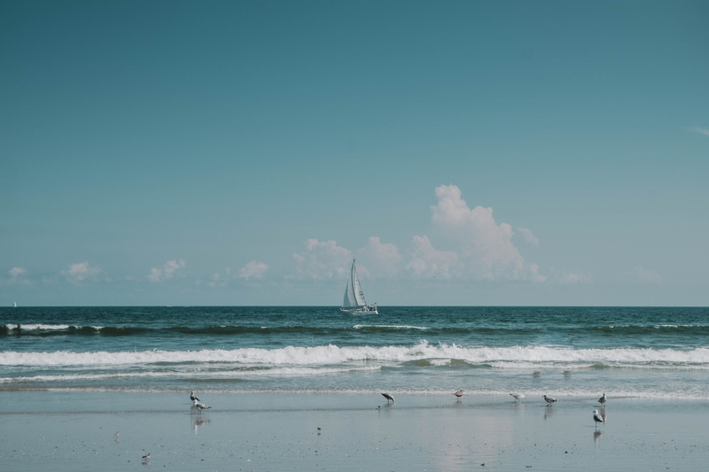 wind, wave, 5K, water, sky, floating, nature, beach, boat, travel Locations, day, blue, sailing, sailboat, horizon over water, ocean, non-urban scene