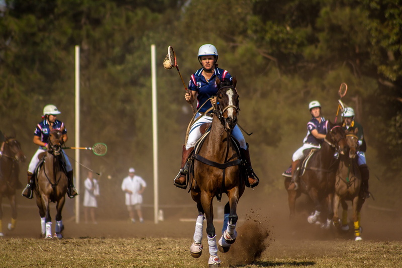 polo cross, group of people, riding, running, competition, playing, group, 4K, teenager, racehorse, people, real people, animal wildlife, ride, activity