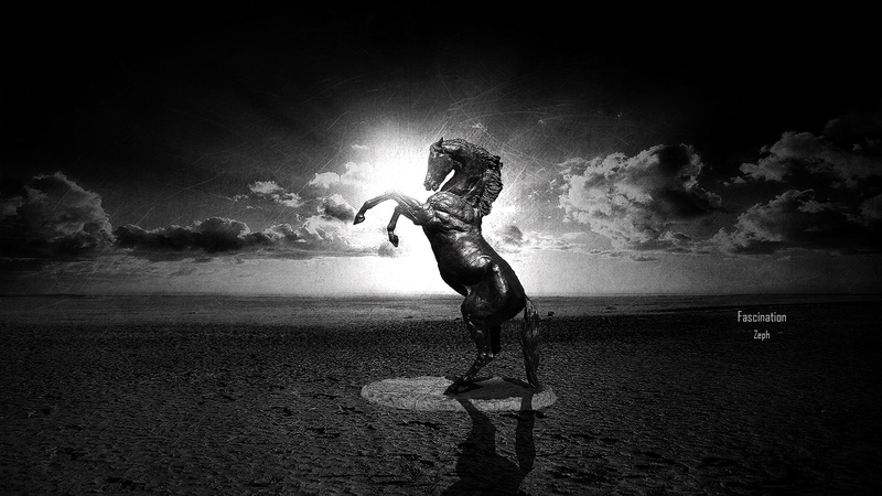 silhouette, action, cultures, men, sunset, females, galloping, horizon, sand, cloud - sky, abstraction, leisure activity, nature, motion, horizon over water