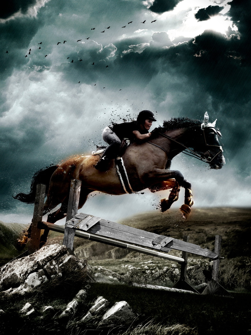 brown, animal wildlife, equestrian, woman, jumping, jump, men, animal, mammal, one animal, horse, rider, pets, 1080P, people, nature, riding, outdoors