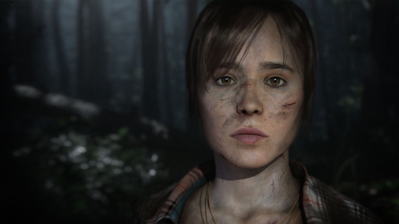 women, headshot, brown hair, aggression, depression - sadness, forest, hairstyle, focus on foreground, 1080P, fear, beautiful woman, emotion, close-up