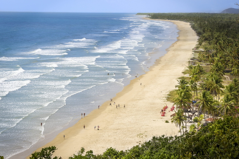 bahia, day, sea, beach, tranquility, plant, brazil, horizon, nature, beauty in nature, water, ilhéus, tranquil scene, high angle view, sky, 4K, land, coastline
