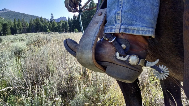 close-up, horse, working, wilderness, cowboy, human limb, usfs, spurs, one person, rural scene, animal body part, mammal, adult, one animal, equine, animal