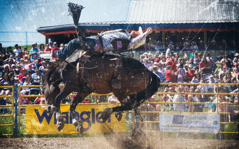 spectator, herbivorous, rodeos, domestic animals, men, riding, watching, arts culture and entertainment, horseback riding, pets, 1080P, horse, vertebrate