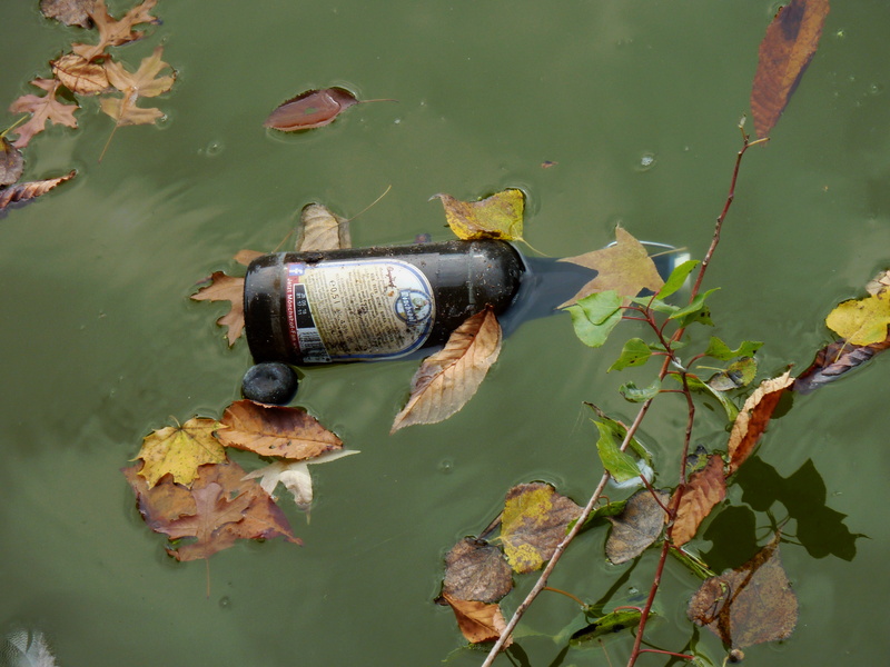 pollution, floating, plastic, water, waterfront, dirty, water pollution, high angle view, waste, environment, bottle, reflection, garbage, outdoors, day