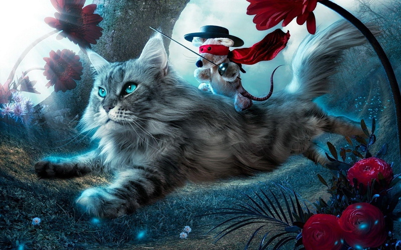 mouse, gray, tabby, cat, zorro, rose, artistic, 1920x1200, riding, 1080P