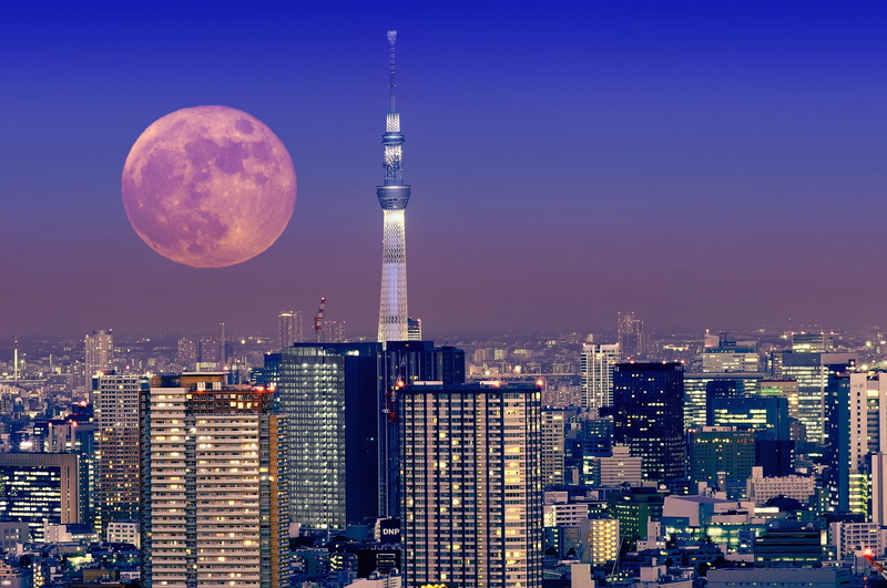 metropolis, Skyscrapers, blue, Tokyo, Japan, high, light, capital city, building, tower, 1080P, full moon, moon, Night, Buildings, rise, photo, sky