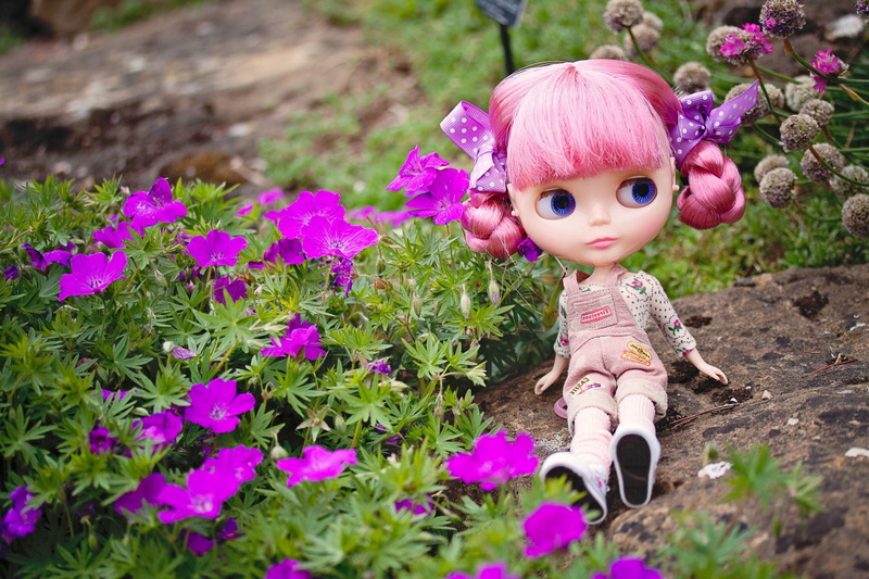 sitting, stone, toy, look, doll, 1080P, flowers, pink hair