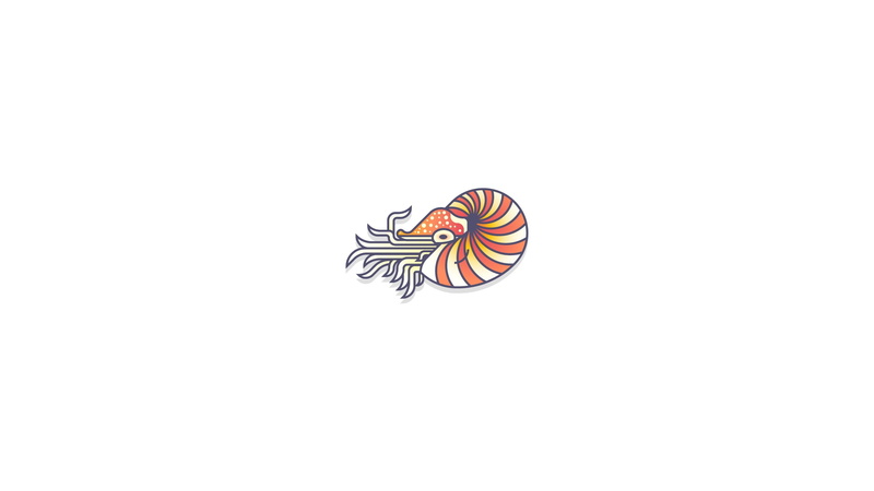 close-up, low angle view, animal, studio shot, invertebrate, pattern, butterfly - insect, animal wildlife, Nautilus, white background, clear sky, art and craft