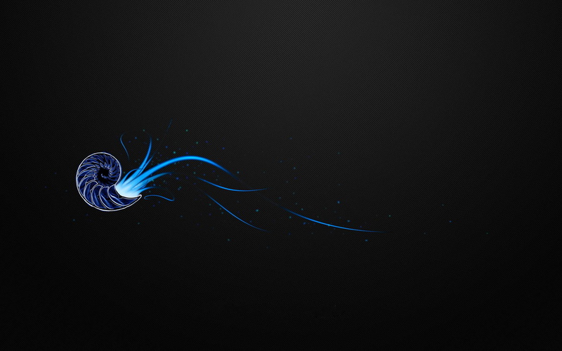 digital art, nautilus, 1080P, blue, art, 1920x1200
