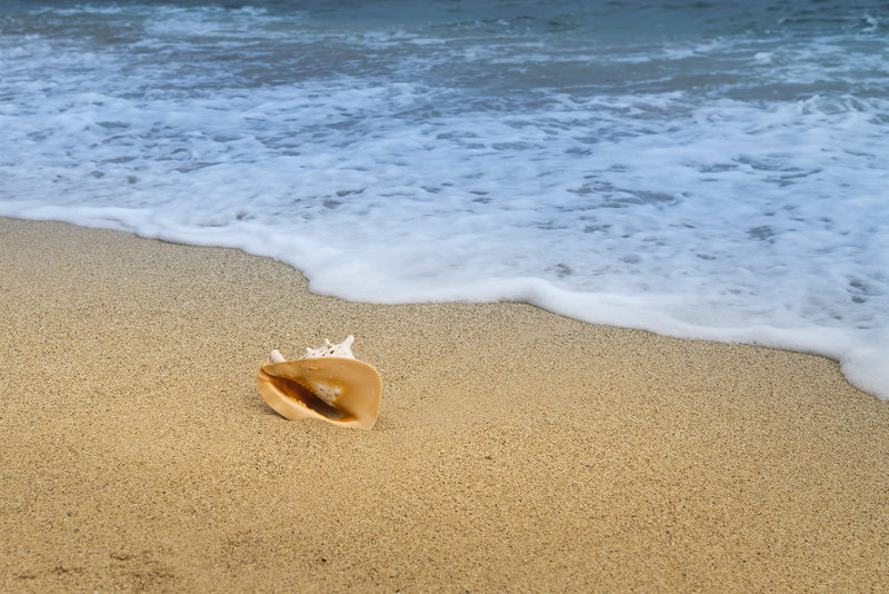 relax, the sea, sand, scalloped, lonely, green, nature, high angle view, nice, 5K, paradise, sunshine, sky, concept, aquatic sport, beach, summer, exposure