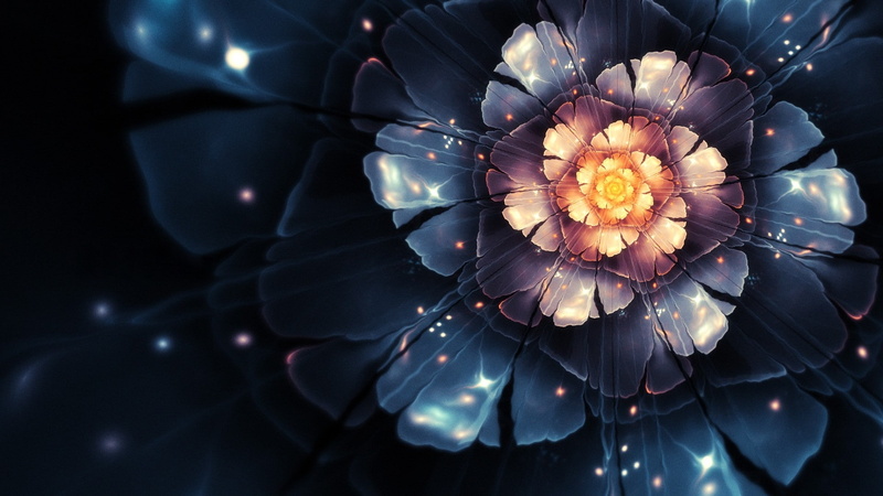digital, x, 1080P, art, Flowers, nature, nucleus, hd, Bloom