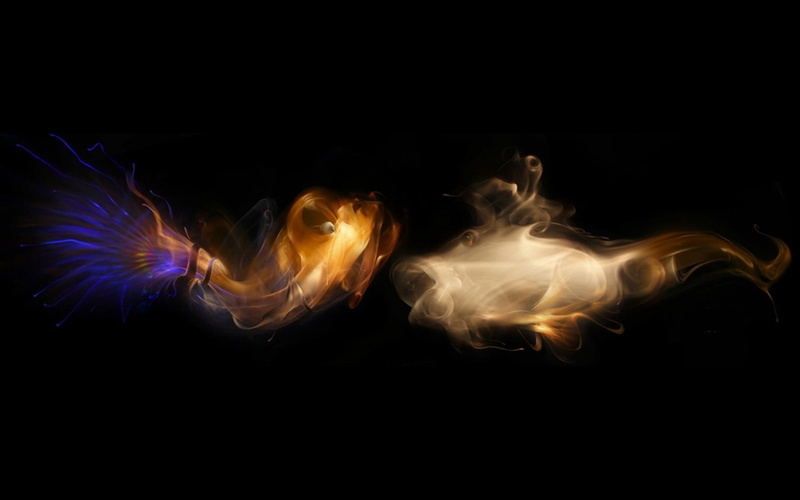 marine, heat - Temperature, black background, dark, light - Natural Phenomenon, motion, bright, multi Colored, digital, smoke, copy space, brown
