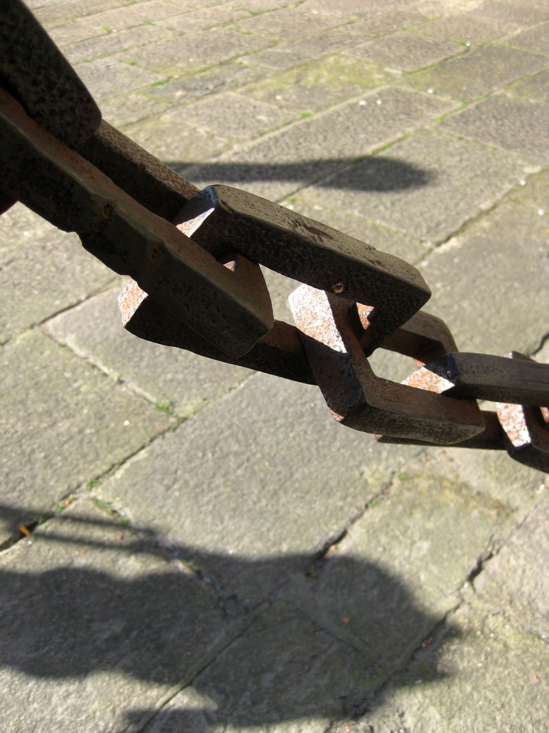 2K, no people, ligature, high angle view, footpath, close-up, plant, nature, still life, old, sunlight, paving stone, chains, shadow, stone, steel, day