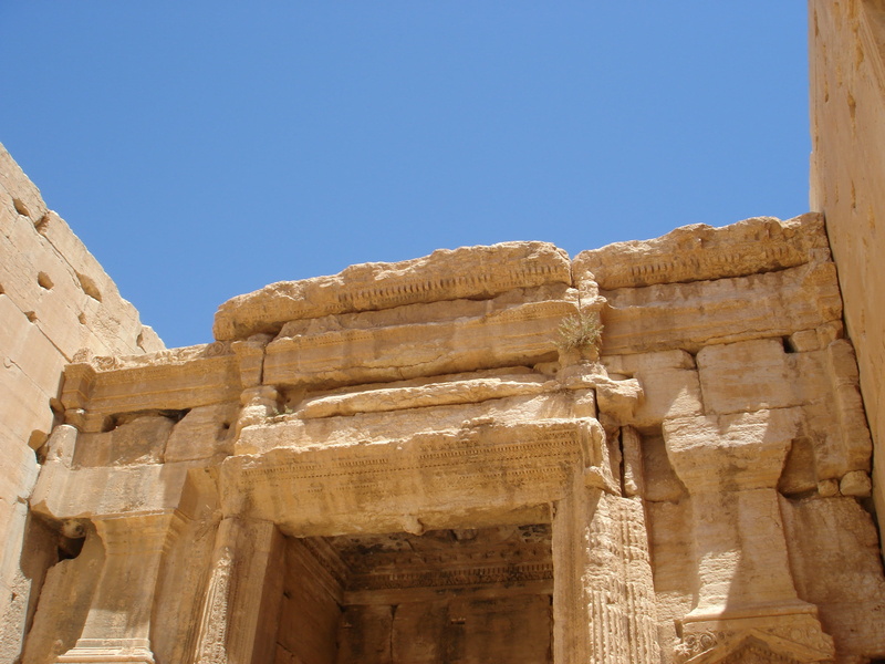 nature, sky, clear sky, place of worship, semitic city, ancient history, old ruin, craft, archaeology, syria, farce, palmyra, built structure, travel destinations