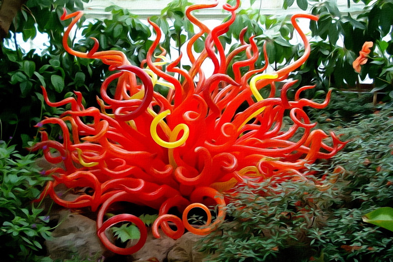figure, plexus, abstraction, bizarre shape, picture, curves, flowerbed, exotic flower, 1080P