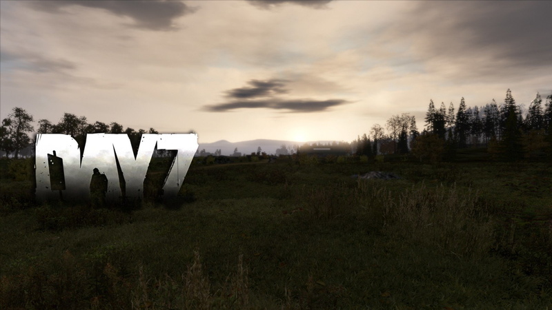 1080P, DayZ Mod, Video Game, Arma 2: DayZ Mod