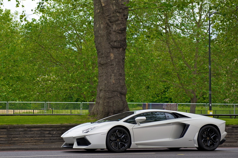 Trees, supercar, cars, hd, white, supercars, sportscar, art, 1080P, aventador, x, lamborghini, sportscars