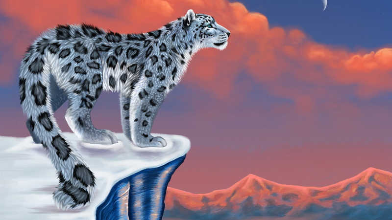 giraffe, representation, animal skin, egyptian cat, snow leopard, animal, feline, animal wildlife, domestic cat, cute, art, no people, animals, black, outdoors