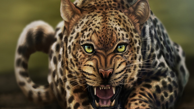 jaguar, vertebrate, looking at camera, animals in the wild, animal skin, predator, animal, no people, leopard, feline, animals, front view, mammal, day