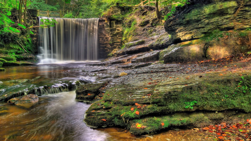 scenics - nature, plant, rainforest, forest, waterfall, power in nature, falling water, water, rock - object, rock, land, flowing water, moss, tree, motion