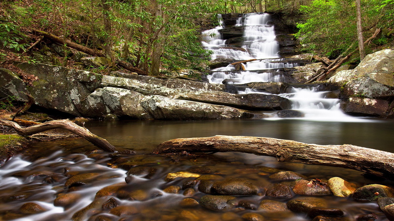 tree, solid, long exposure, water, blurred motion, motion, forest, outdoors, nature, no people, stream - flowing water, rock, flowing, flowing water, plant