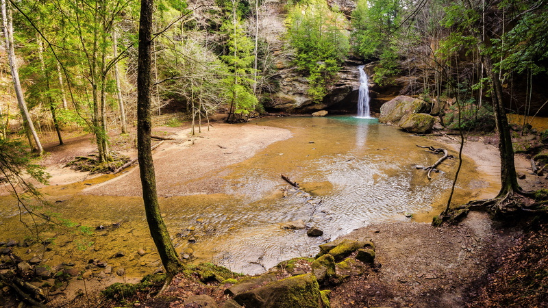 forest, outdoors, motion, trunk, land, tree trunk, flowing water, plant, nature, growth, no people, tree, 4K, non-urban scene, woodland, water, day, pollution