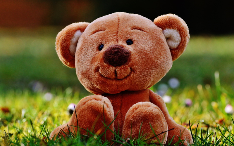 teddy bear, toy backgrounds, Background Ultra HD 4K, 4K, download 3840x2400 Teddy bear, grass