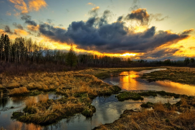 nice, blue, white, pond, 1080P, paisaje, water, field, body, landscapes, sunny, brown, peisaje, cloud, grove, lagoon, sunset, picture, surface, grass