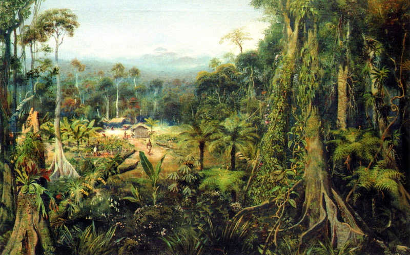 jungle, paint, 1080P, forest, nature and landscapes, tropical