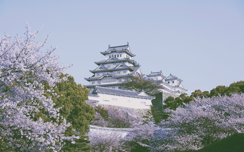 Himeji Castle, nature, 1080P