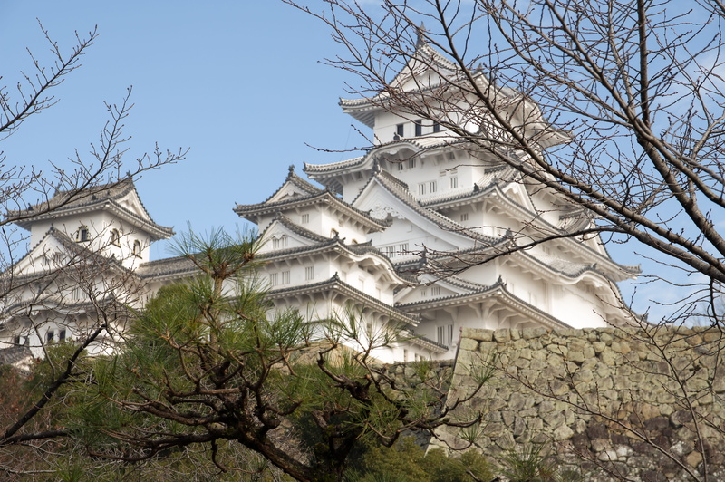 himeji, japan, architecture, bare tree, belief, building, tree, place of worship, plant, outdoors, low angle view, built structure, clear sky, 5K, building exterior