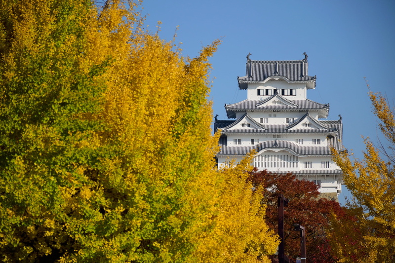 castle, himeji, travel destinations, building, day, place of worship, heritage, building exterior, nature, yellow, change, 2K, plant, outdoors, asia, japan