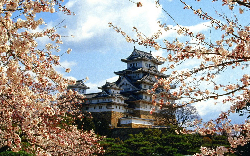 tree, religion, Castles, belief, branch, sky, autumn, architecture, day, flowering plant, growth, Himeji Castle, cloud - sky, building, outdoors, 1080P