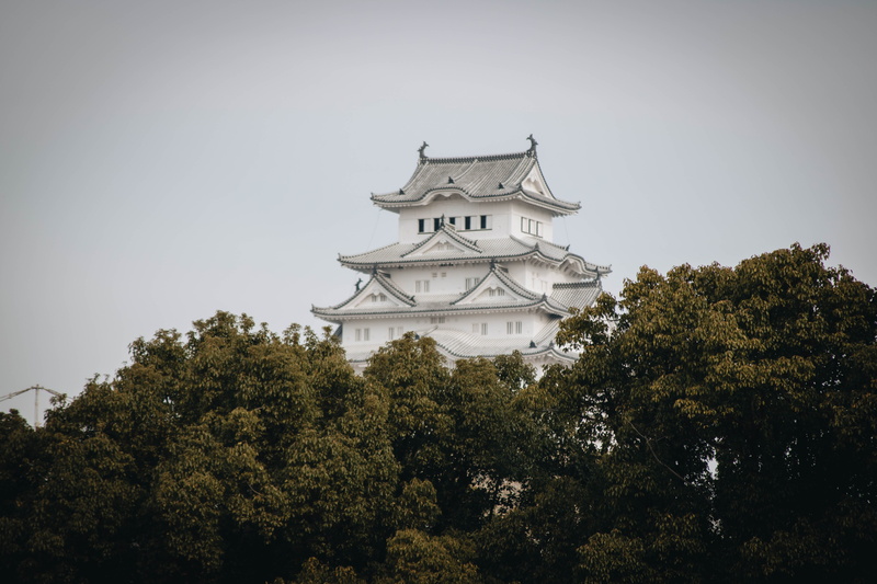 japan, no people, the past, fort, sky, japanese castle, office building, roof, clear sky, tower, castle, pagoda, building, worship, plant, view, moat, dome