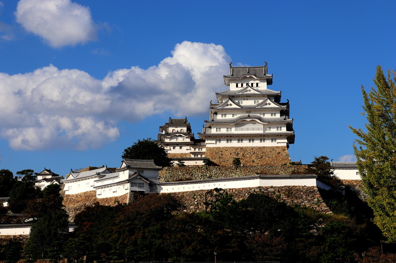 plant, building, world heritage site, blue, japan, himeji castle, place of worship, building exterior, himeji, day, outdoors, architecture, castle, travel destinations