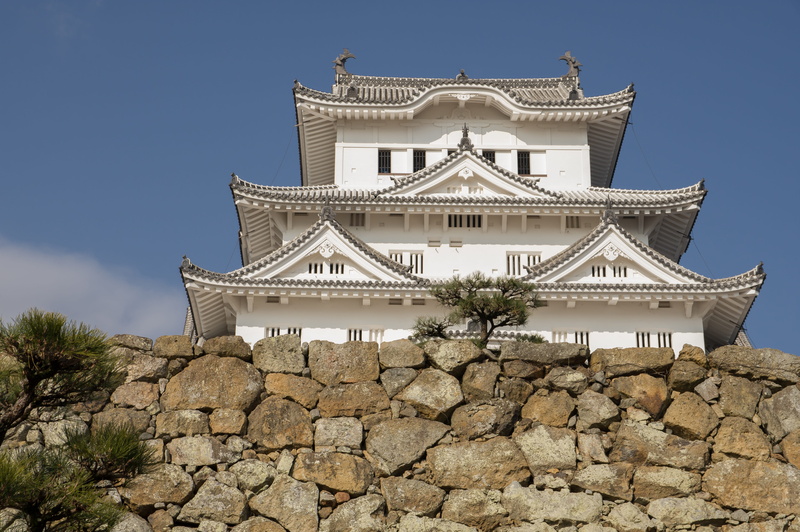 solid, japan, himeji, castle, the past, religion, built structure, building, 5K, place of worship, low angle view, belief, plant, architecture, no people