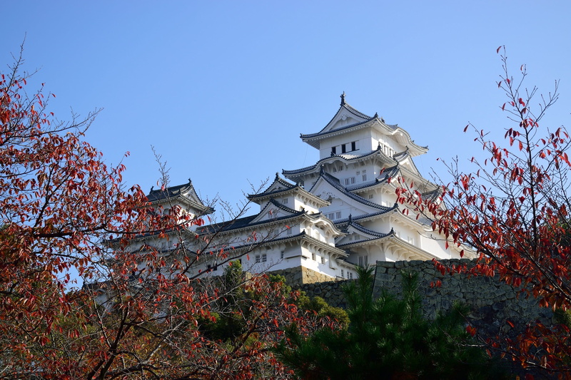 asia, sky, tree, day, nature, clear sky, belief, change, autumn, place of worship, heritage, architecture, building, 2K, outdoors, building exterior, religion