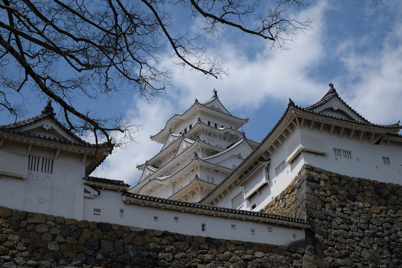 no people, nature, built structure, religion, white, low angle view, outdoors, roof tile, sky, spirituality, scenary, castle, building, branch, travel destinations