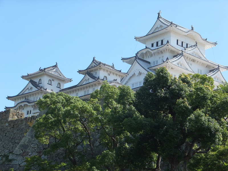 outdoors, clear sky, 2K, nature, built structure, growth, no people, the past, blue, plant, pagoda, day, clear, place of worship, low angle view, building exterior