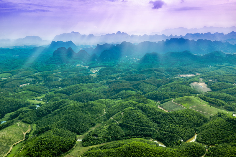 rural scene, no people, ninh binh province, nature, eye, land, sun, tropical tree, plant, tea crop, morning, sky, field, plantation, lush, mountain, fog
