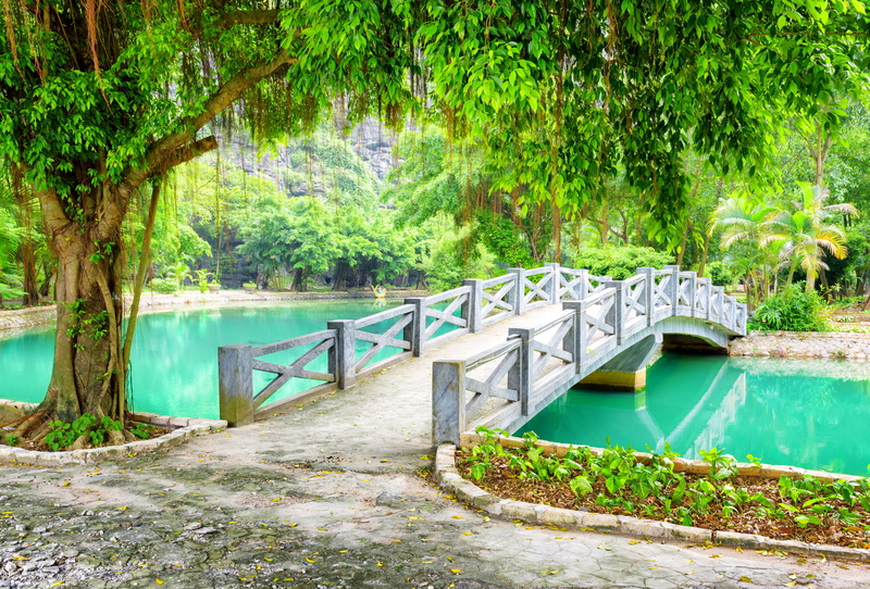 railing, architecture, bridge, forest, 5K, branches, Province, growth, Park, nature, outdoors, Ninh Binh, day, built structure, greens, the bridge, tree
